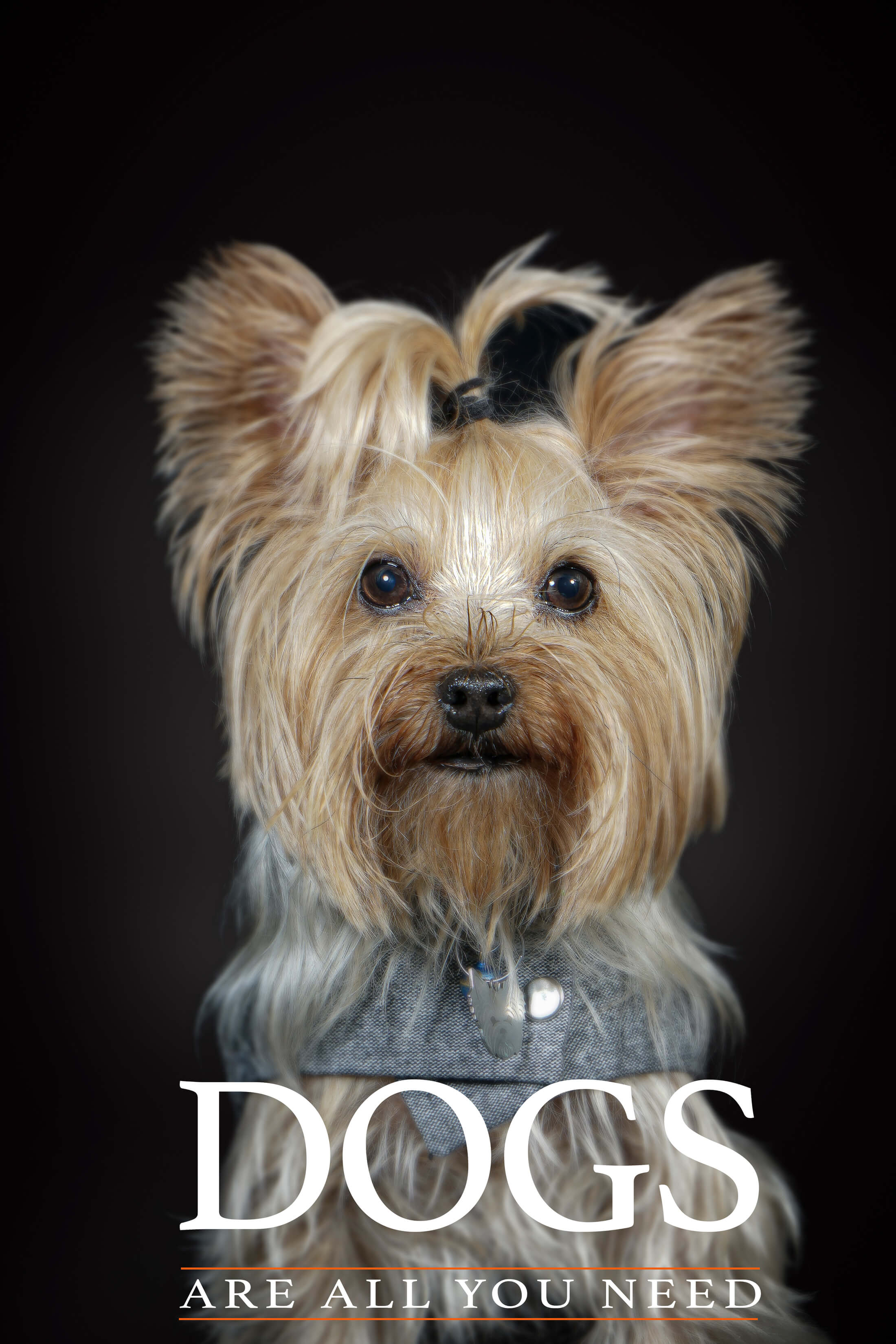 Mehdi Ghasemi PHOTOGRAPHY