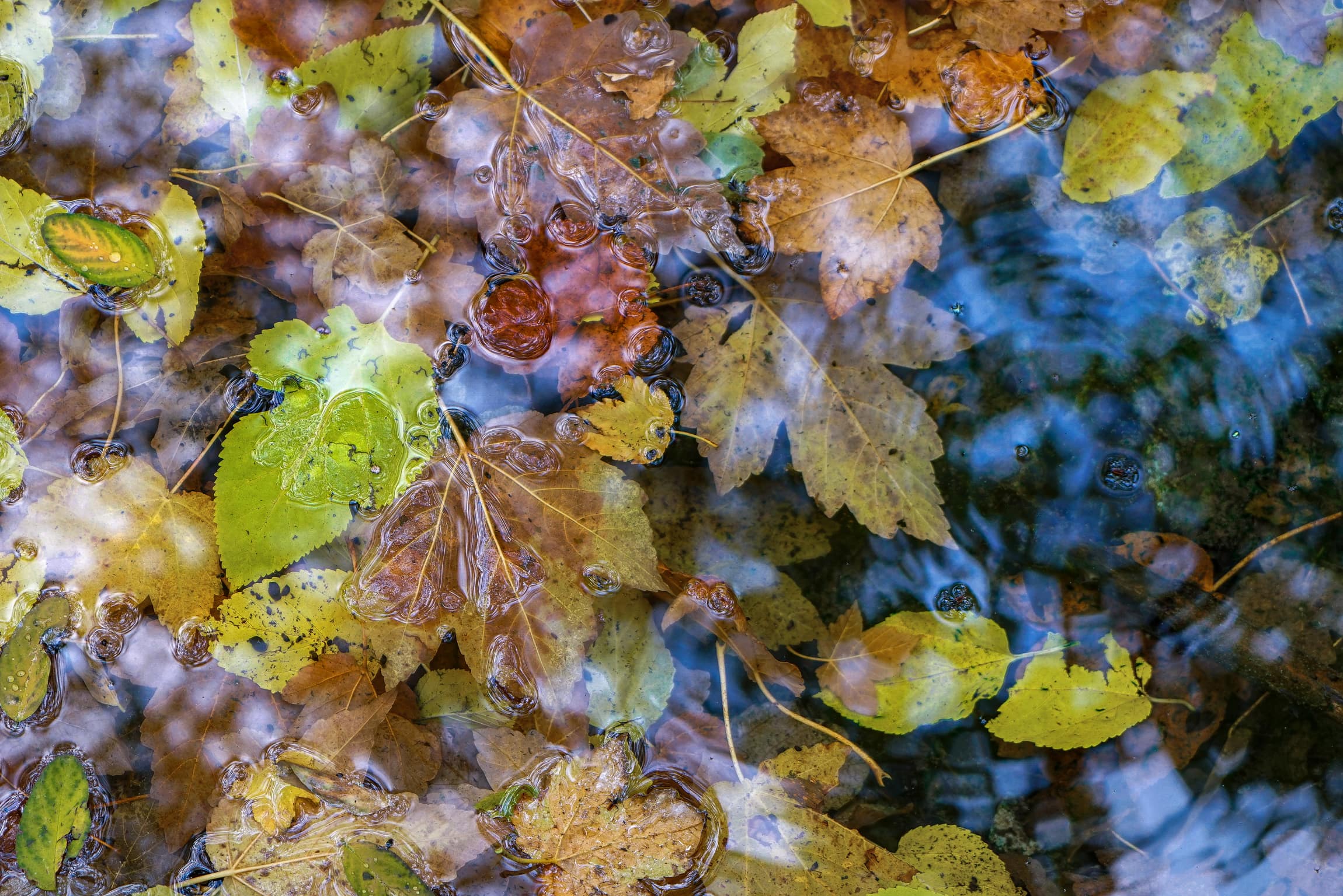 Mehdi Ghasemi PHOTOGRAPHY