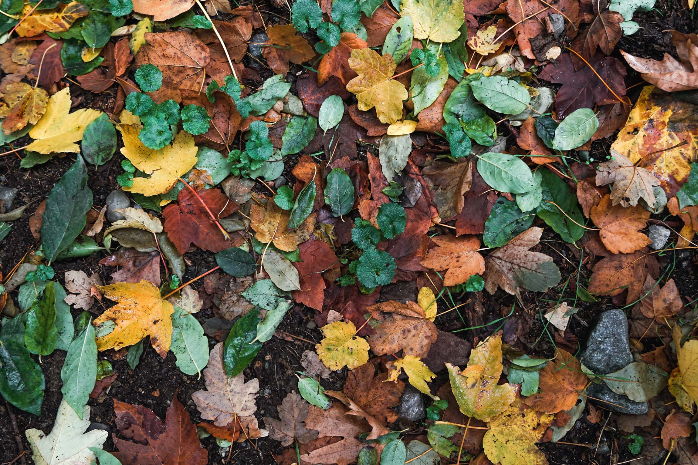 Mehdi Ghasemi PHOTOGRAPHY