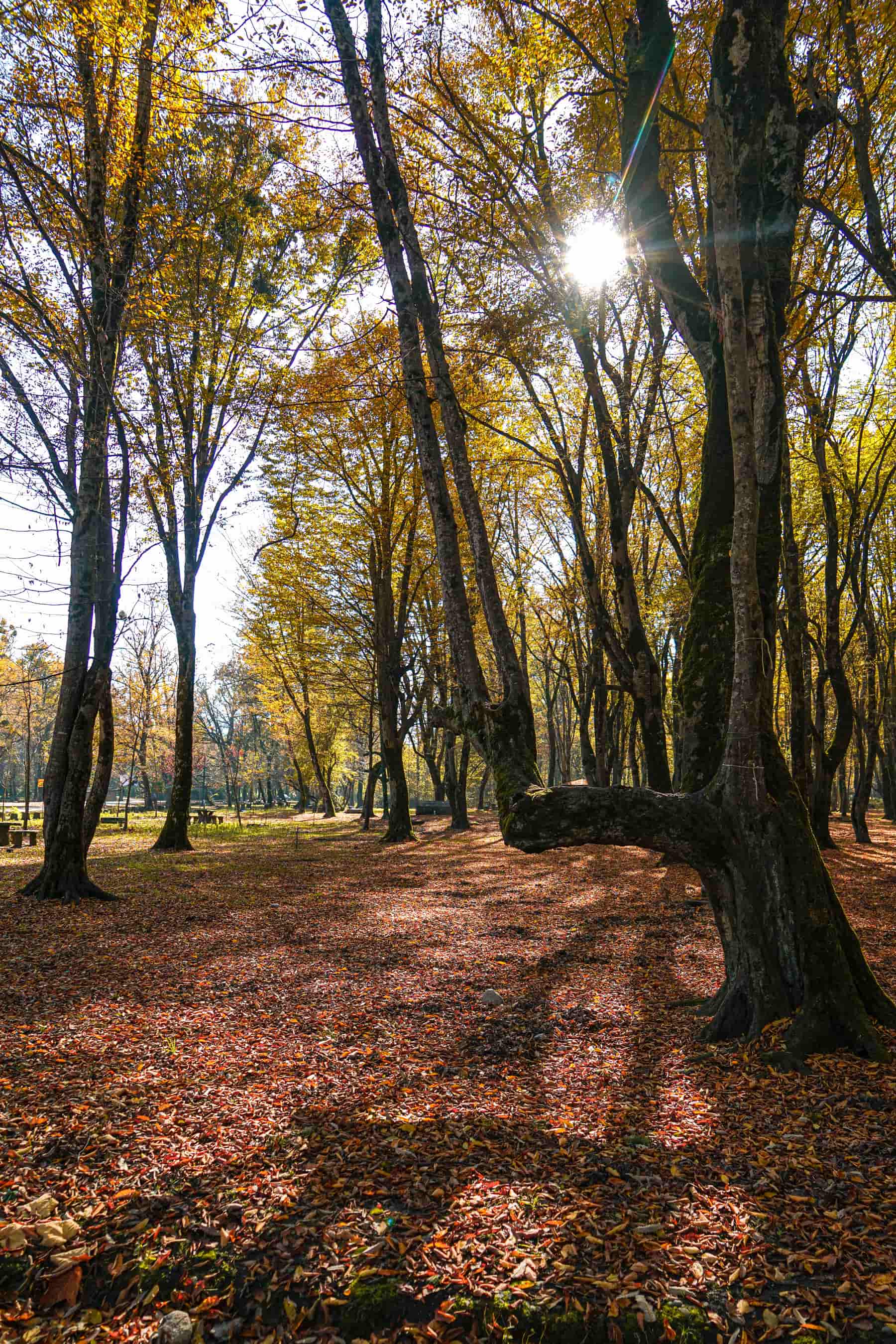 Mehdi Ghasemi PHOTOGRAPHY